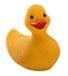 RubberDucky image - quite cute, really